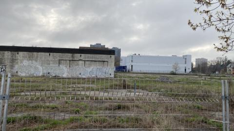 Flea Market - IMG_1909.jpeg