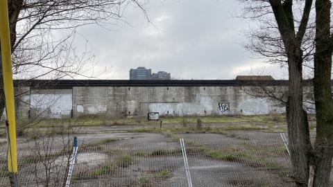 Flea Market - IMG_1908.jpeg