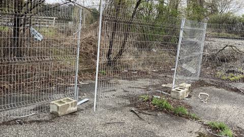 Flea Market - IMG_1883.jpeg