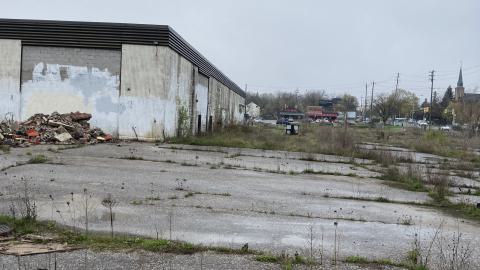 Flea Market - IMG_1879.jpeg