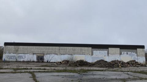 Flea Market - IMG_1878.jpeg