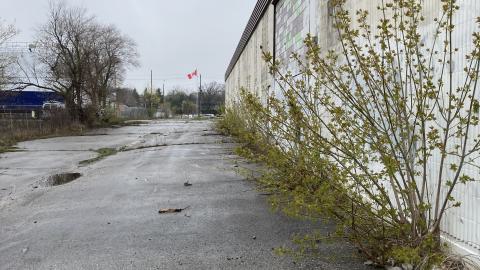 Flea Market - IMG_1874.jpeg