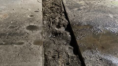 Flea Market - IMG_1892.jpeg