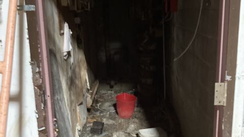 Flea Market - IMG_1893.jpeg