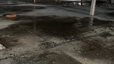 Flea Market - IMG_1898.jpeg