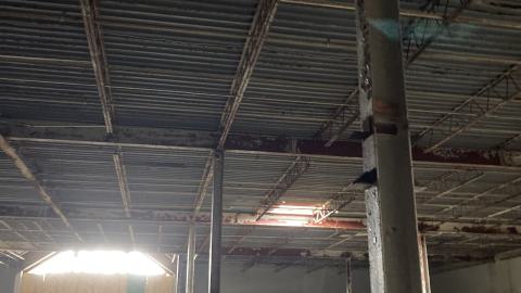 Flea Market - IMG_1899.jpeg