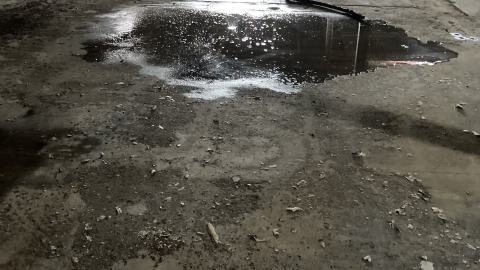 Flea Market - IMG_1900.jpeg