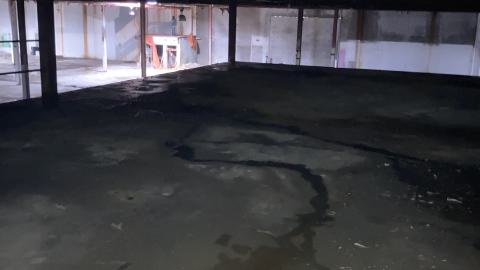 Flea Market - IMG_1903.jpeg