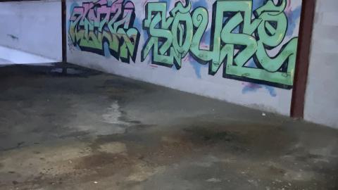 Flea Market - IMG_1904.jpeg