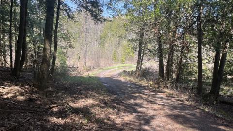 Cottage Reconstructed? - IMG_6780.jpeg