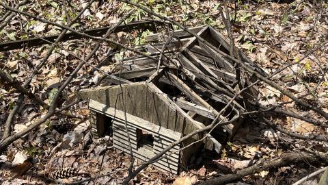 Cottage Reconstructed? - IMG_6783.jpeg