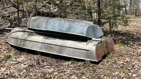 Cottage Reconstructed? - IMG_6784.jpeg