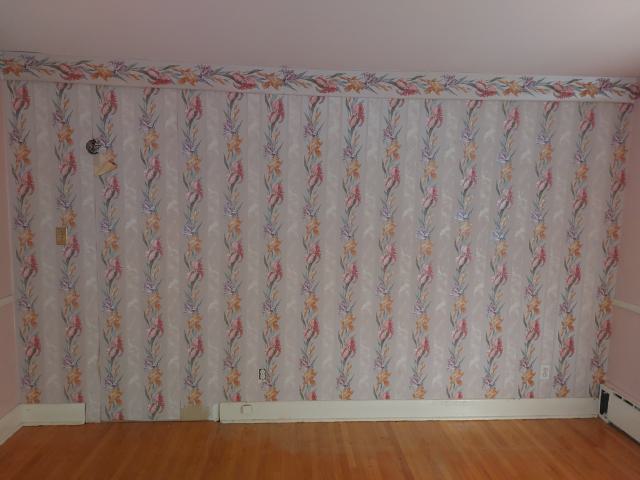 Suburban farm - 20240430_175758.jpg