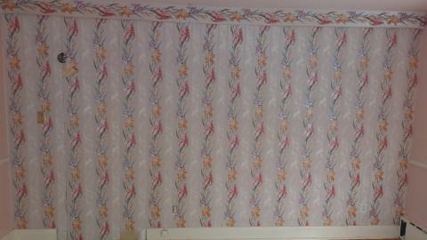 Suburban farm - 20240430_175758.jpg