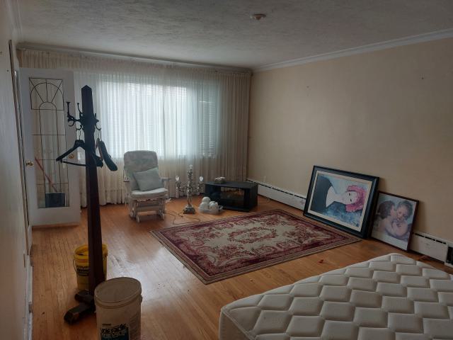 Suburban farm - 20240430_174324.jpg