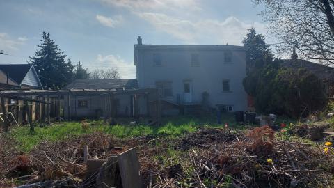 Suburban farm - 20240430_171839.jpg