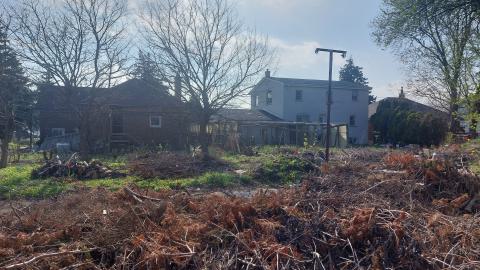 Suburban farm - 20240430_171659.jpg