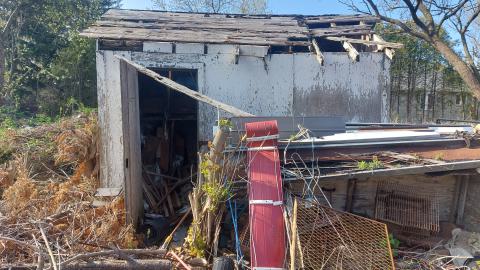 Suburban farm - 20240430_171654.jpg