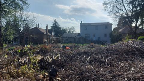 Suburban farm - 20240430_171449.jpg