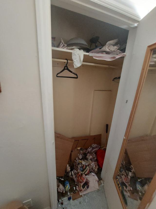 Designer bags galore - 20240430_172817.jpg