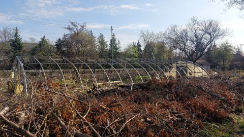 Designer bags galore - 20240430_171225.jpg