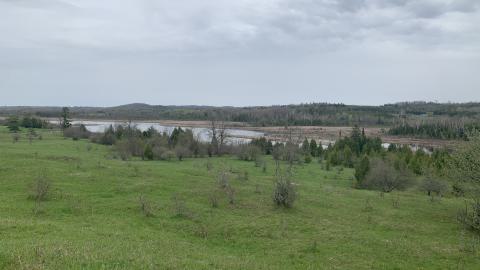 Graffiti Hill photo 4