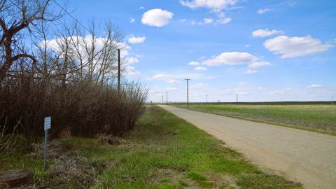 Hamlet of Kirkcaldy - DSC_2665.JPG