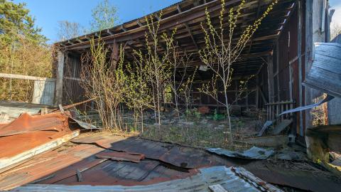 May 2024 - PXL_20240504_215100561.jpg