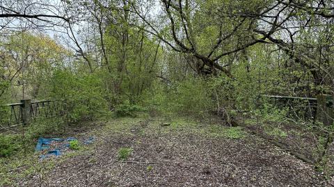 Ford Drive/Upper Middle Rd Bridge - unnamed (2).jpg