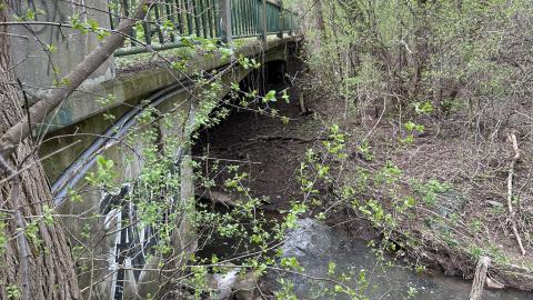 Ford Drive/Upper Middle Rd Bridge - unnamed (5).jpg