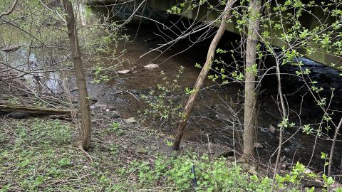 Ford Drive/Upper Middle Rd Bridge - unnamed (6).jpg