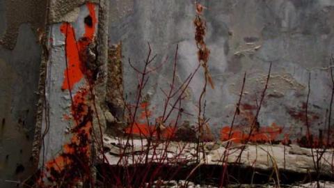 Ingersoll Abandoned Quarry - Carmeuse-Lime-Ingersoll34.jpg