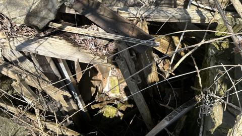 April 2024 Visit - IMG_4905.jpg