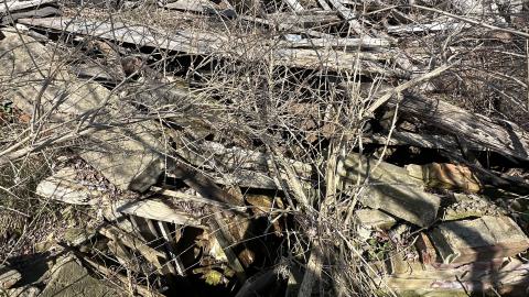 April 2024 Visit - IMG_4906.jpg