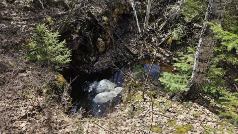 A hole in the forest floor