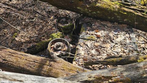 Twindyke Mine - 20240505_153234.jpg