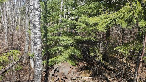 Twindyke Mine - 20240505_153744.jpg