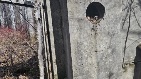 Twindyke Mine - 20240505_154621(0).jpg