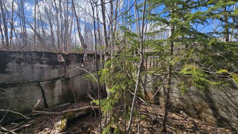 Twindyke Mine - 20240505_154657.jpg