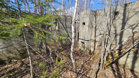 Twindyke Mine - 20240505_154700.jpg