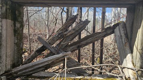 A view from out the window of the "cookhouse" foundation