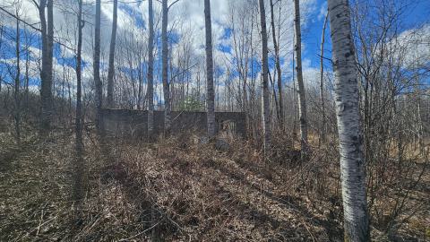 Twindyke Mine - 20240505_154743.jpg