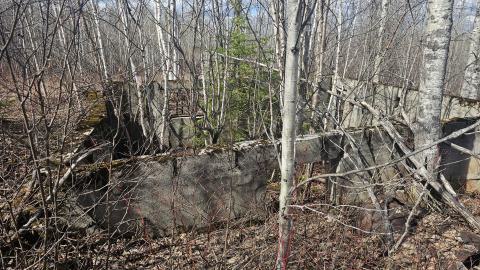 Twindyke Mine - 20240505_154811.jpg