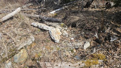 Twindyke Mine - 20240505_155249.jpg