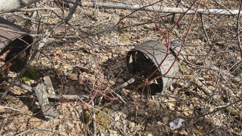 Twindyke Mine - 20240505_155259.jpg