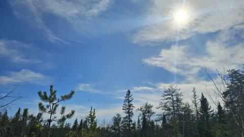 Potter Doal Mine photo 4