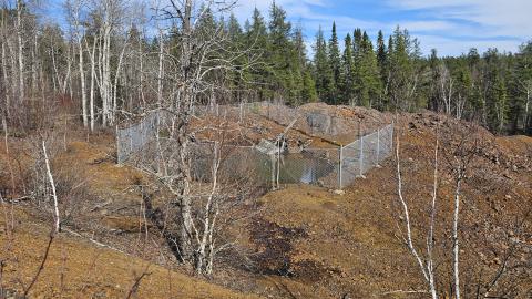 A shot of a waterhole