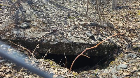 Potter Doal Mine photo 3