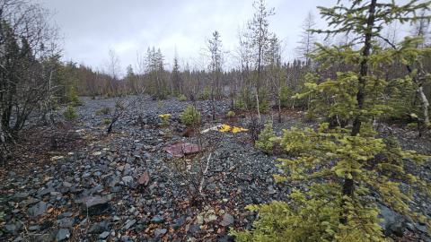 Debris in the waste rock pile