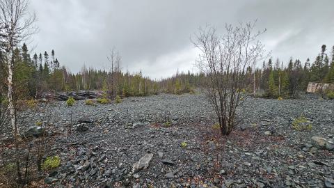 A broad shot of the rock area